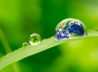 Stanowiska dydaktyczne - Ochrona Środowiska